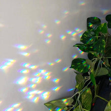 Load image into Gallery viewer, Planty Sun Catcher Stick (Driftwood)